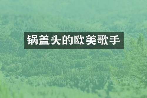 锅盖头的欧美歌手