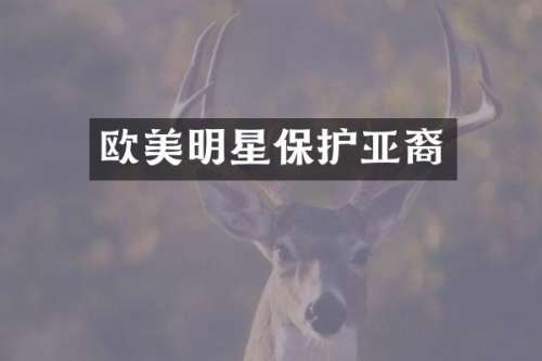 欧美明星保护亚裔