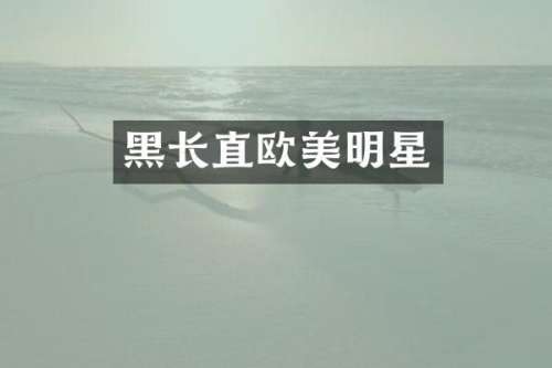 黑长直欧美明星