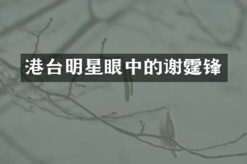港台明星眼中的谢霆锋