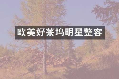 欧美好莱坞明星整容