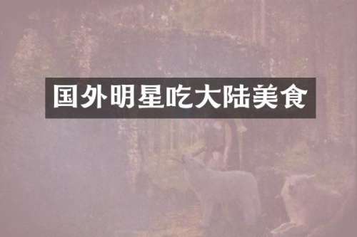 国外明星吃大陆美食