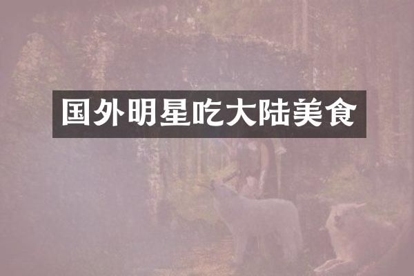国外明星吃大陆美食
