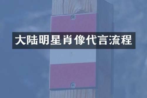 大陆明星肖像代言流程
