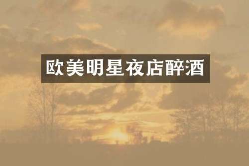 欧美明星夜店醉酒