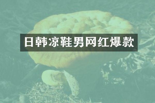日韩凉鞋男网红爆款