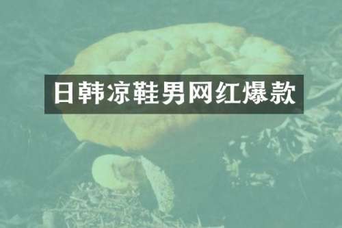 日韩凉鞋男网红爆款
