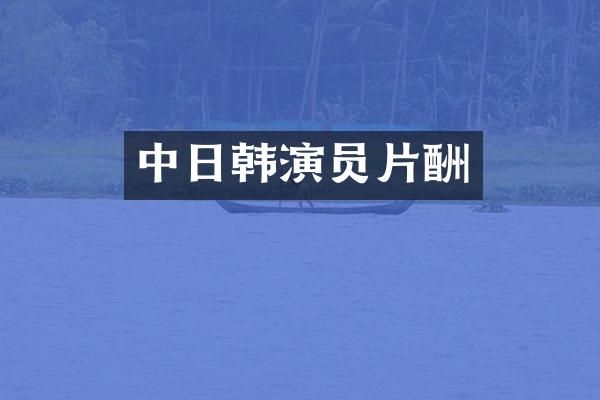 中日韩演员片酬