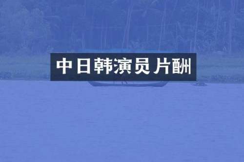 中日韩演员片酬
