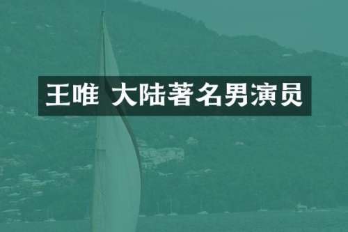 王唯 大陆著名男演员