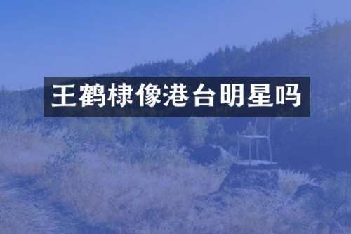王鹤棣像港台明星吗