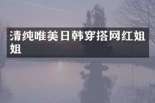 清纯唯美日韩穿搭网姐