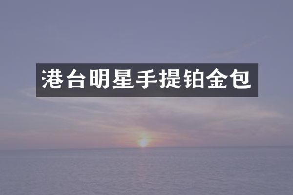 港台明星手提铂金包