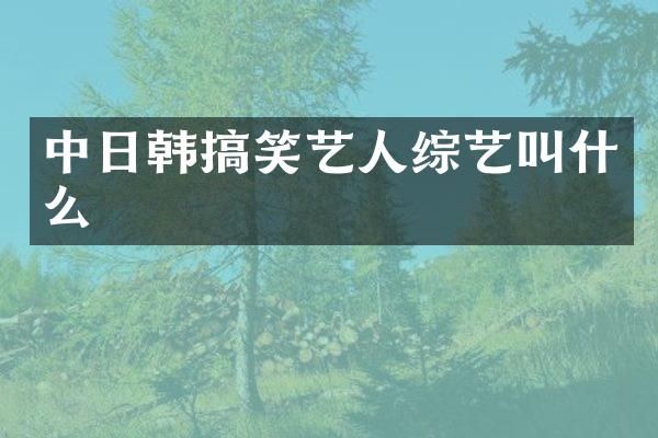 中日韩搞笑艺人综艺叫什么