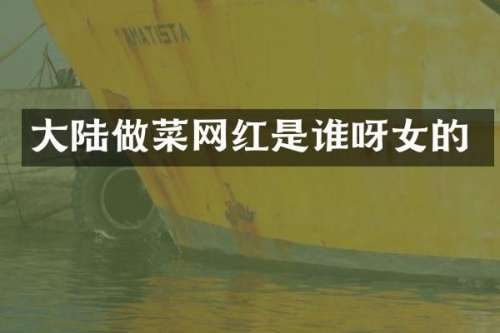 大陆做菜网红是谁呀女的
