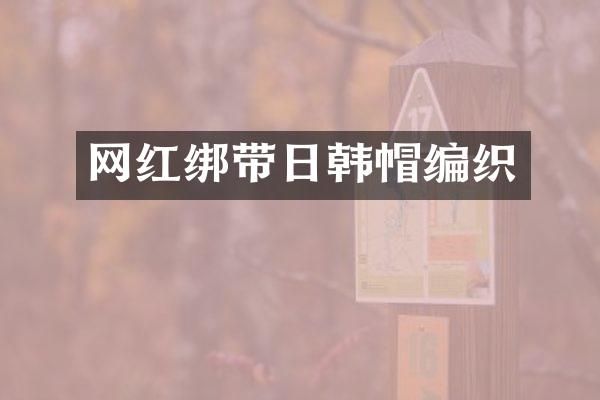 网红绑带日韩帽编织