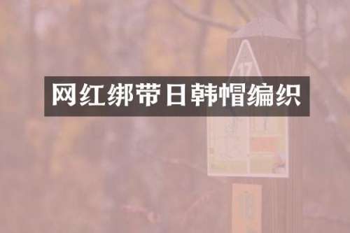 网红绑带日韩帽编织