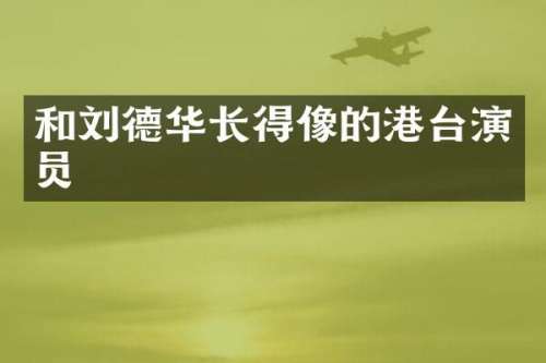 和刘德华长得像的港台演员