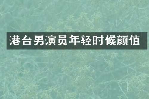 港台男演员年轻时候颜值