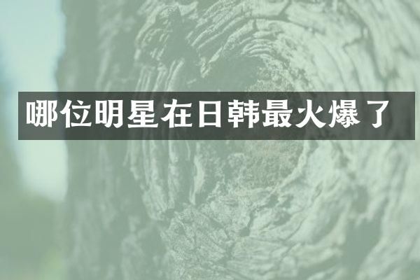哪位明星在日韩最火爆了