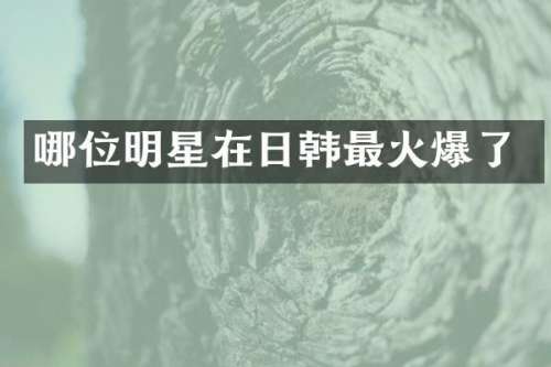 哪位明星在日韩最火爆了