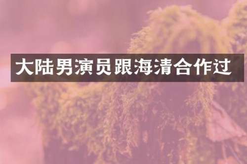 大陆男演员跟海清合作过