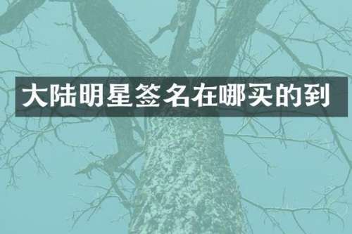 大陆明星签名在哪买的到