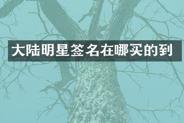 大陆明星签名在哪买的到
