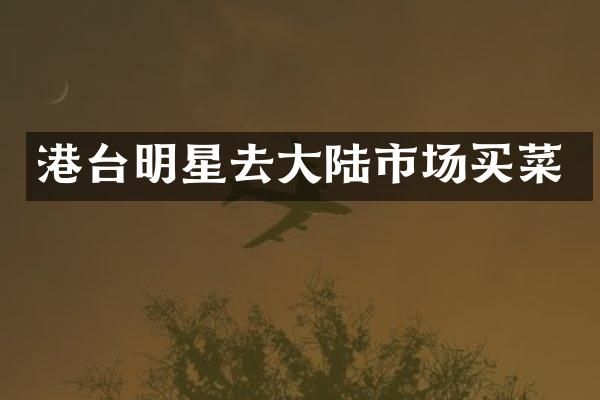 港台明星去大陆市场买菜