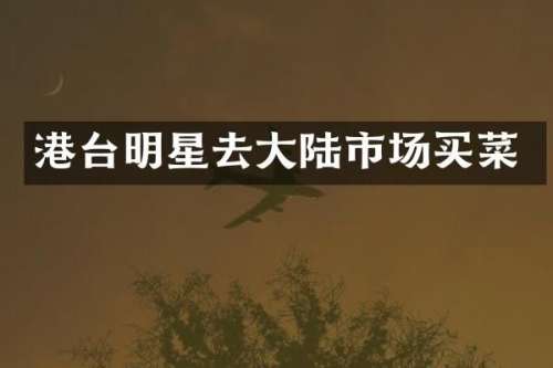 港台明星去大陆市场买菜