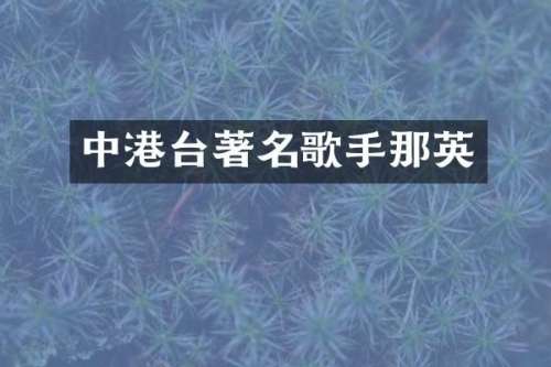中港台著名歌手那英