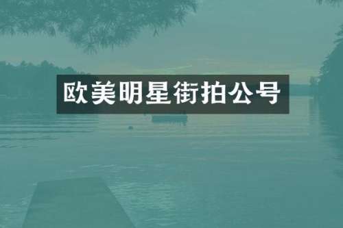 欧美明星街拍公号