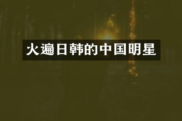 火遍日韩的中国明星