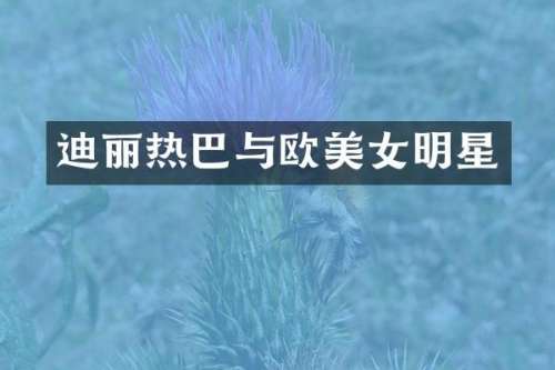 迪丽热巴与欧明星