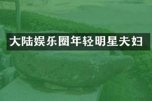 大陆娱乐圈年轻明星夫妇