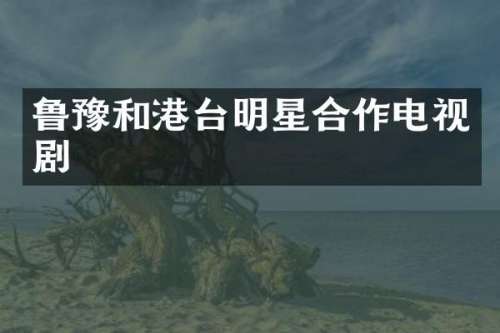 鲁豫和港台明星合作电视剧