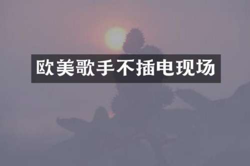 欧美歌手不插电现场