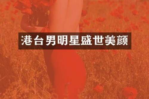 港台男明星盛世美颜