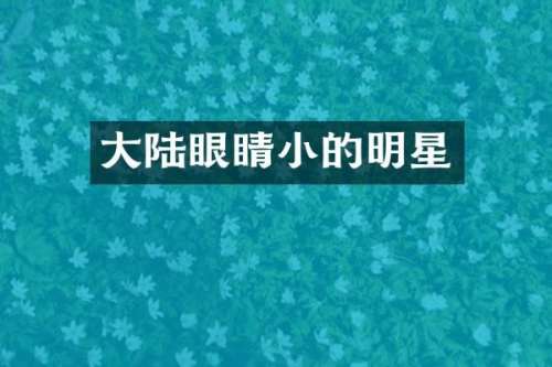 大陆眼睛小的明星