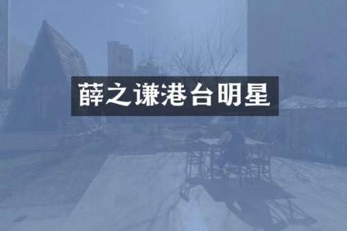 薛之谦港台明星