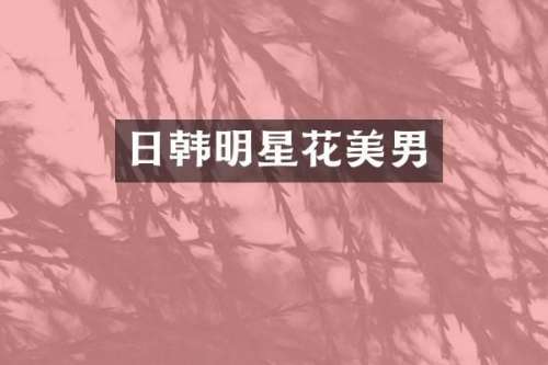 日韩明星花美男