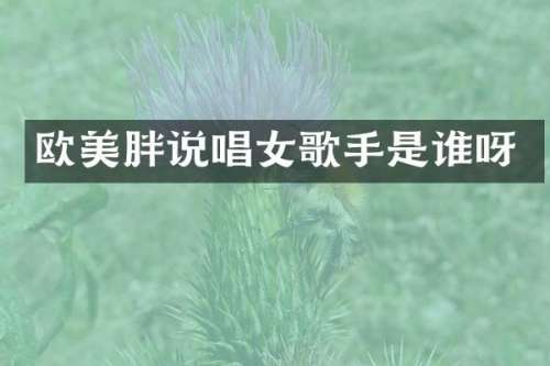 欧美胖说唱女歌手是谁呀