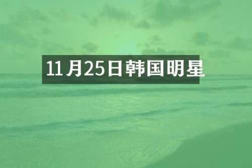 11月25日韩国明星