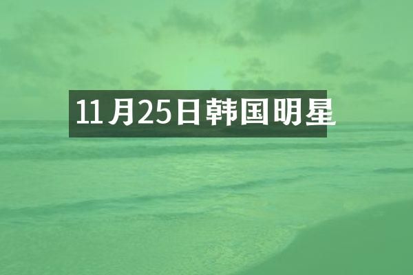 11月25日韩国明星