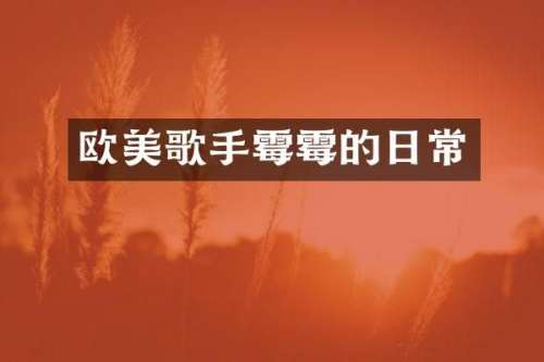 欧美歌手的日常