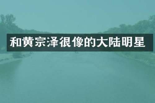 和黄宗泽很像的大陆明星