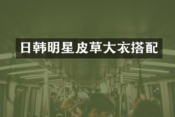 日韩明星皮草大衣搭配