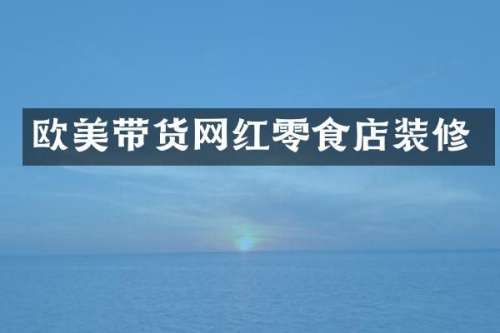 欧美带货网红零食店装修
