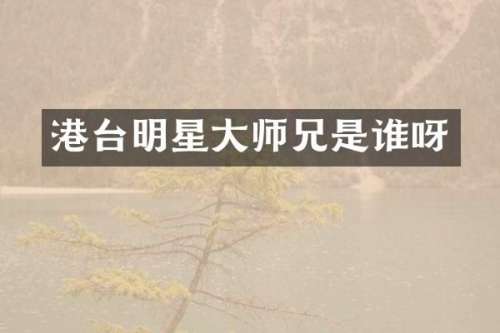 港台明星大师兄是谁呀