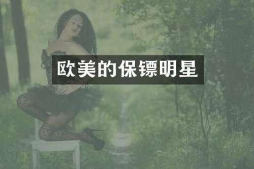 欧美的保镖明星